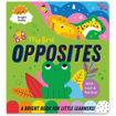 Picture of MY FIRST OPPOSITES TOUCH AND FEEL BOOK